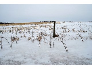 Property photo 31 - AUCTION, 206 Contiguous Acres offered in 5 Tracts